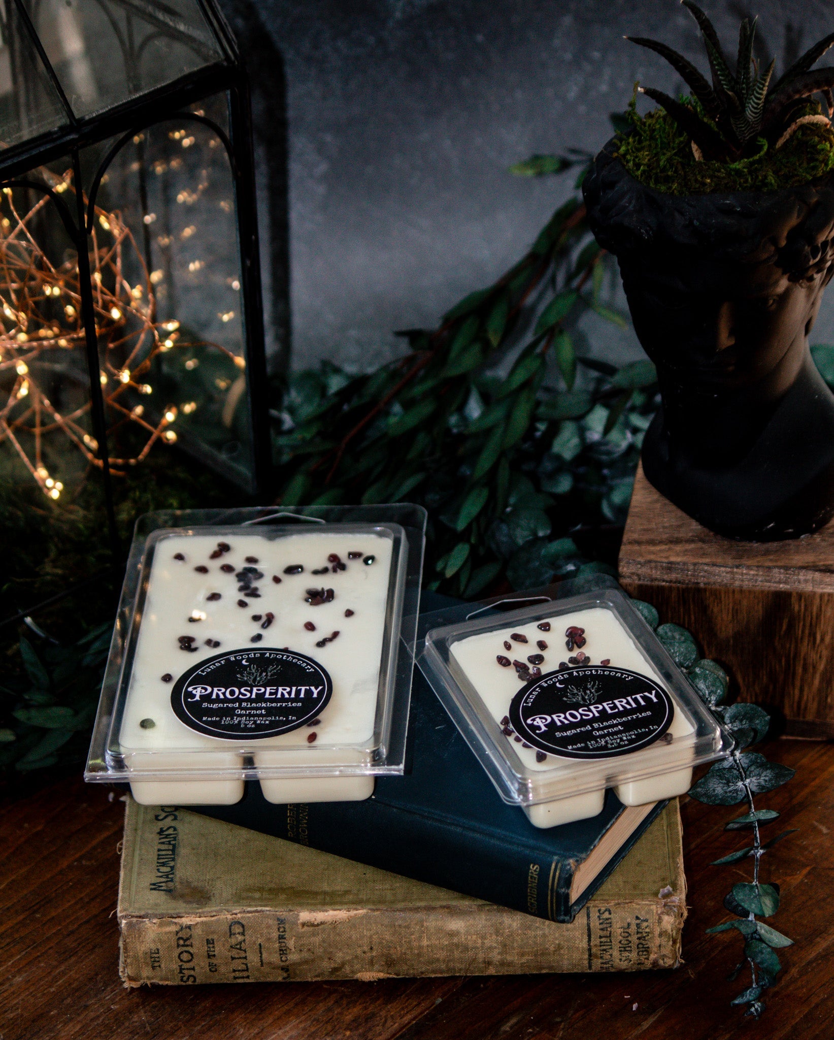 Prosperity — Witchy Wax Melts