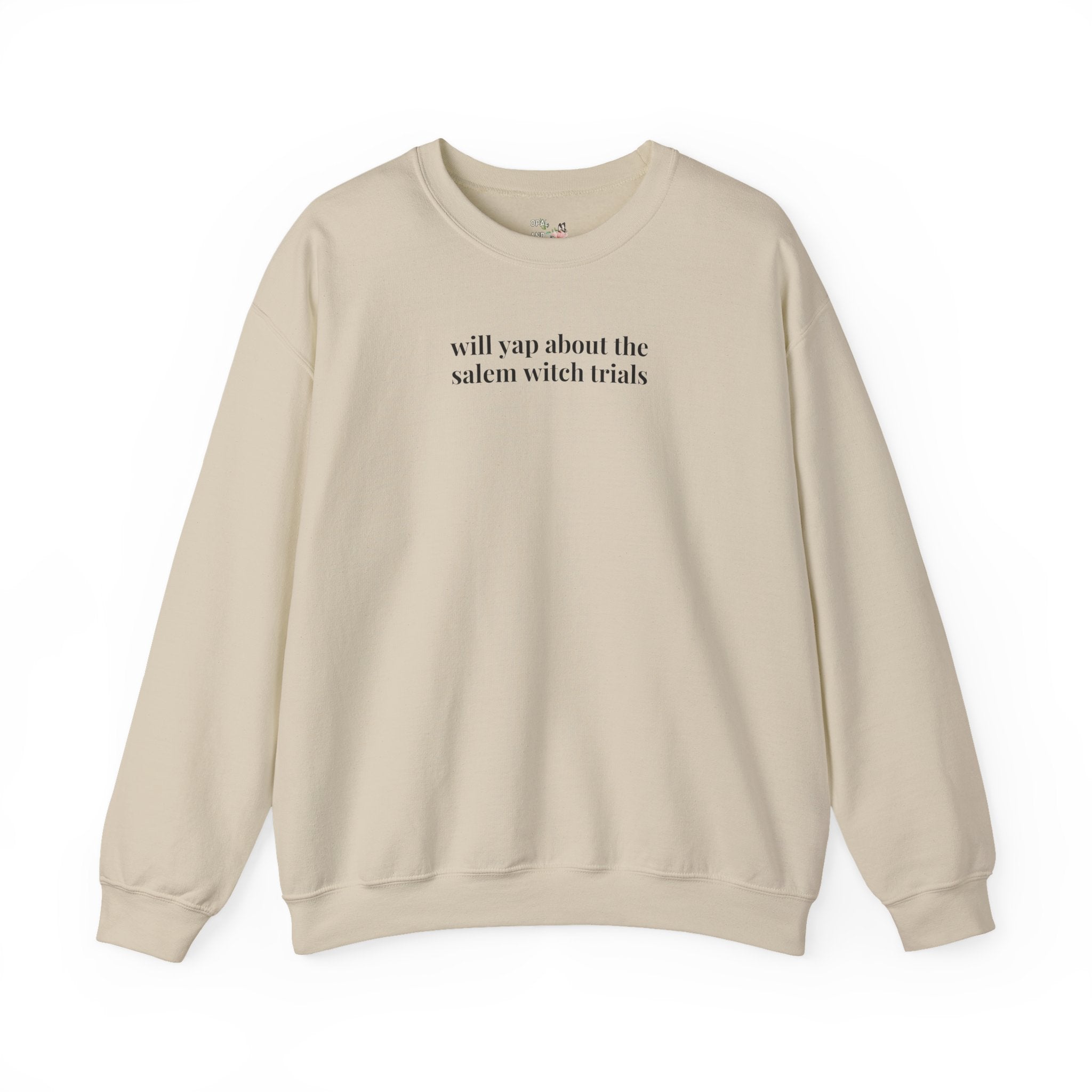 Witchy History Lover Sweatshirt: Salem Witch Trials